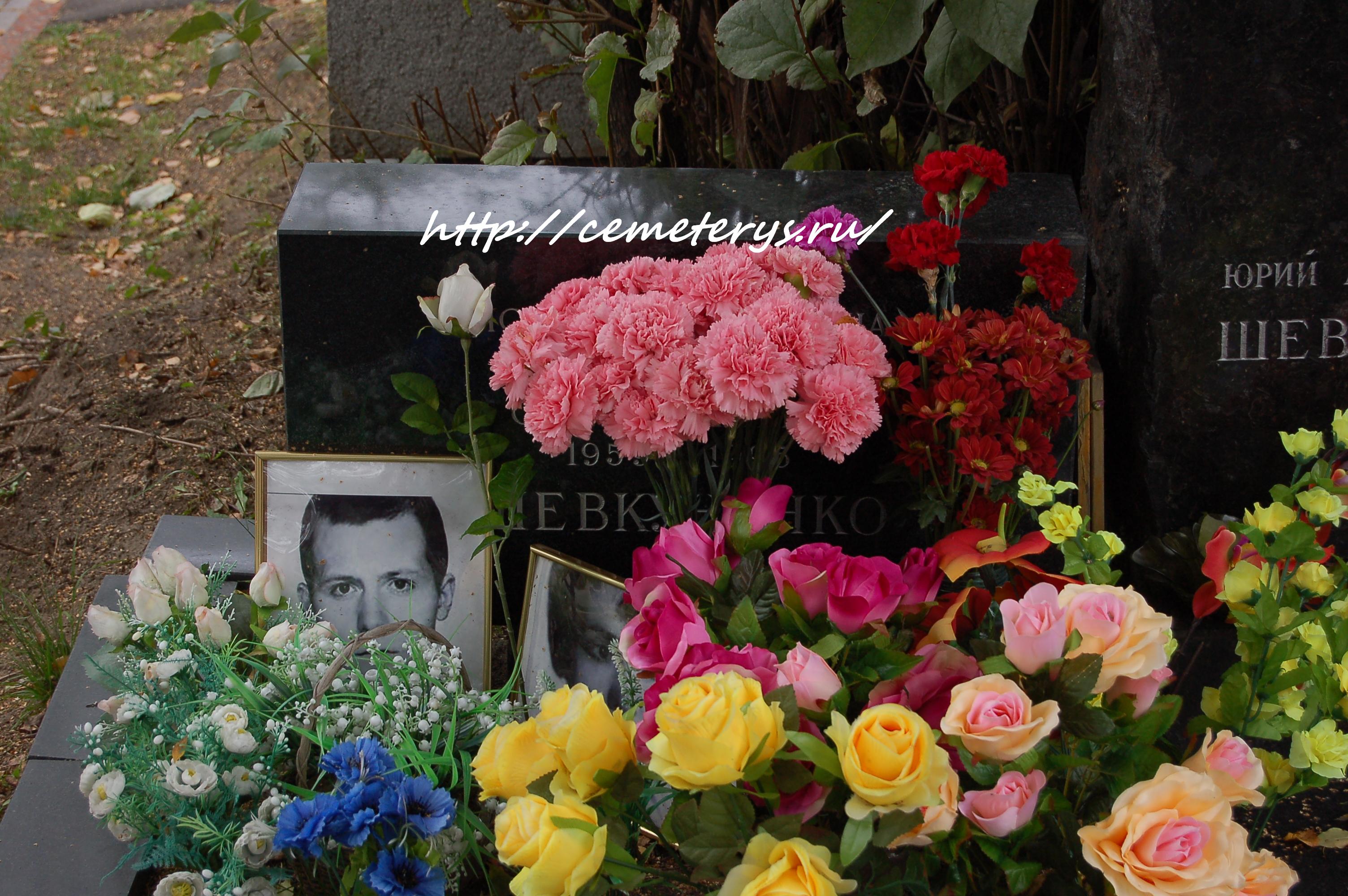 могила Сергея Шевкуненко на Новодевичем кладбище в Москве ( фото Дмитрия Кондратьева)