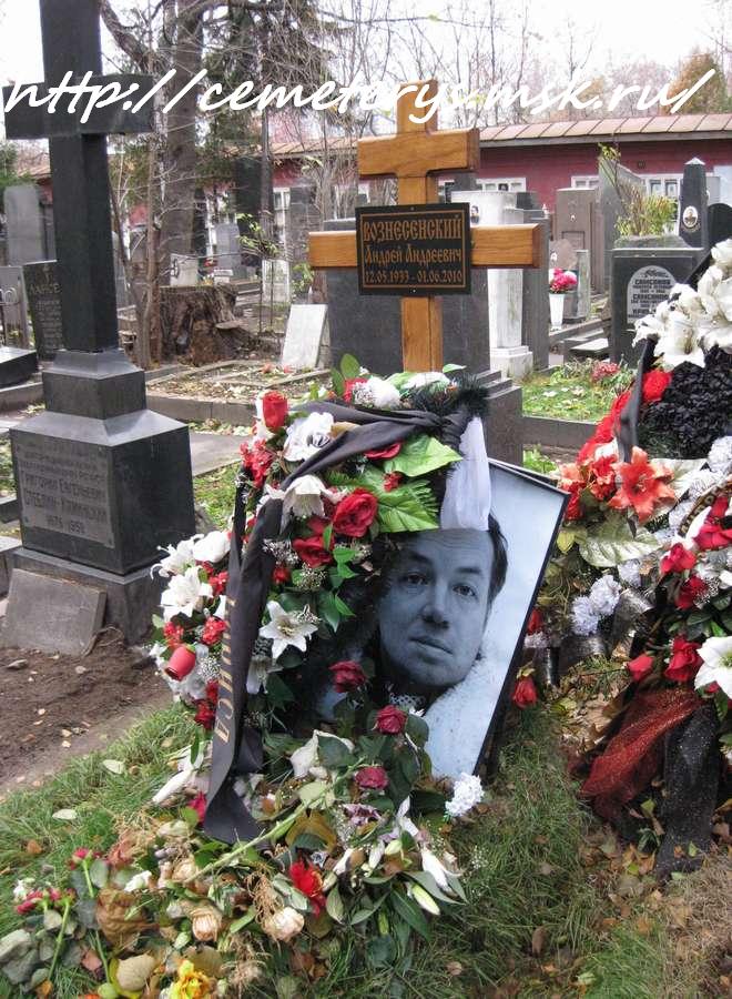 могила Андрея Вознесенского на Новодевичем кладбище в Москве (вид могилы до установки памятника)(фото Дмитрия Кондратьева)