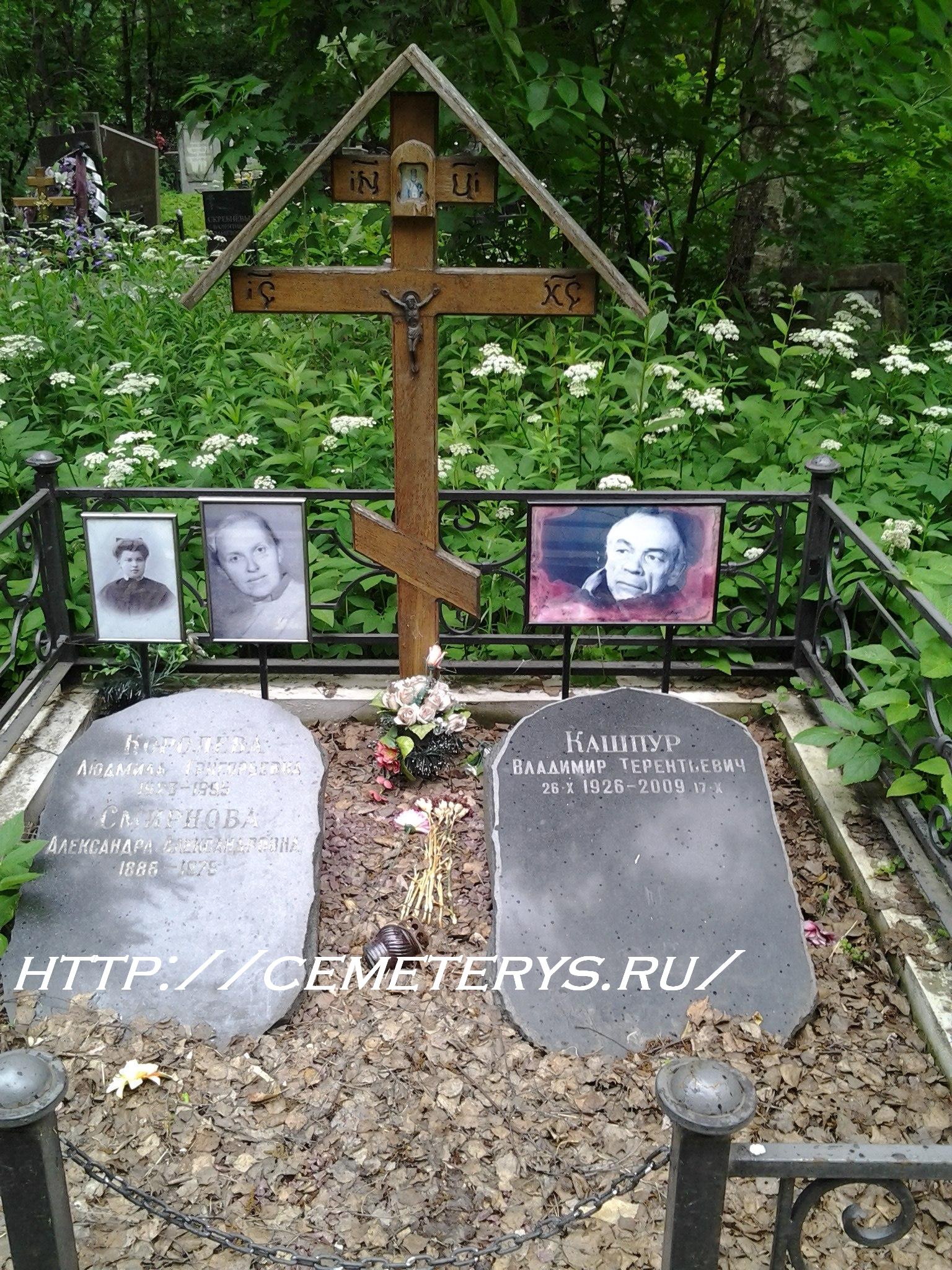 могила Владимира Кашпура на Долгопрудненском кладбище в Московской области ( фото Дмитрия Кондратьева)