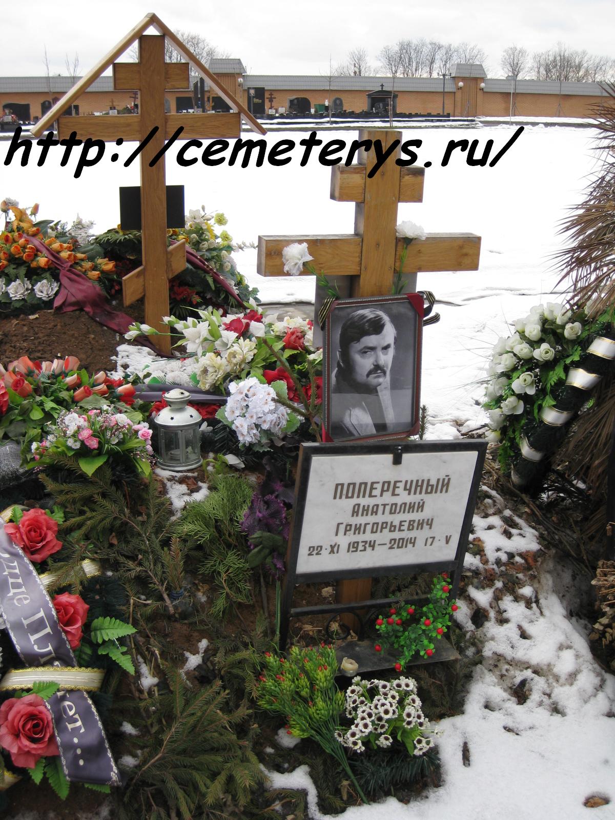могила Анатолия Поперечного на Троекуровском кладбище в Москве ( фото Дмитрия Кондратьева)