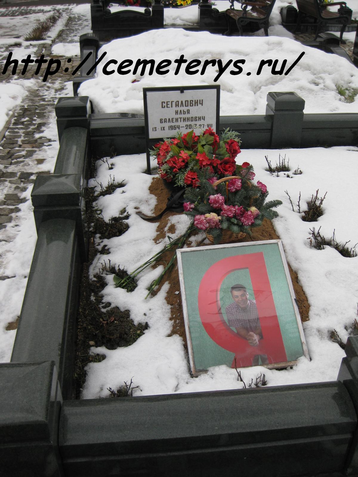 могила Ильи Сегаловича на Троекуровском кладбище в Москве ( фото Дмитрия Кондратьева)